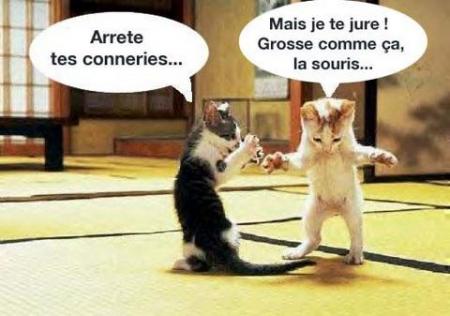 Parfois certain exagère,vous ne trouver pas?